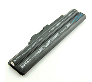 battery for Sony VGP-BPL21